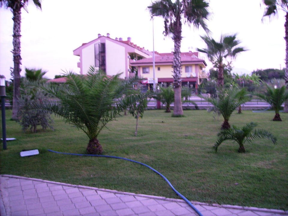 Blick zum Hotel Silver Hotel Orfeus Park