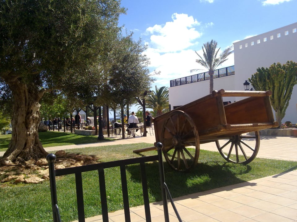 Garten TUI MAGIC LIFE Fuerteventura