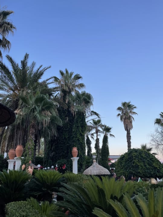Gartenanlage Hotel Club Sera