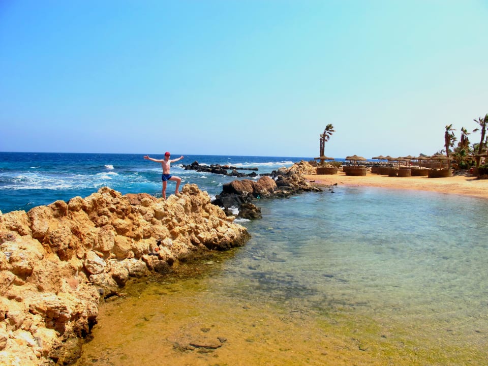 Цитадель азур Pickalbatros Citadel Resort