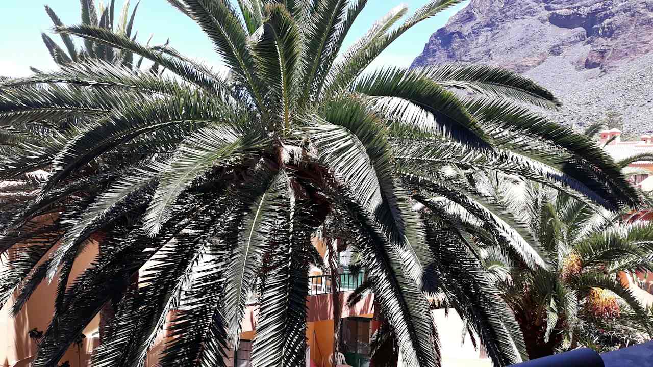 Ausblick Hotel Playa Calera