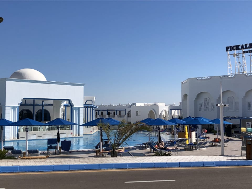 Pool Pickalbatros Palace Resort