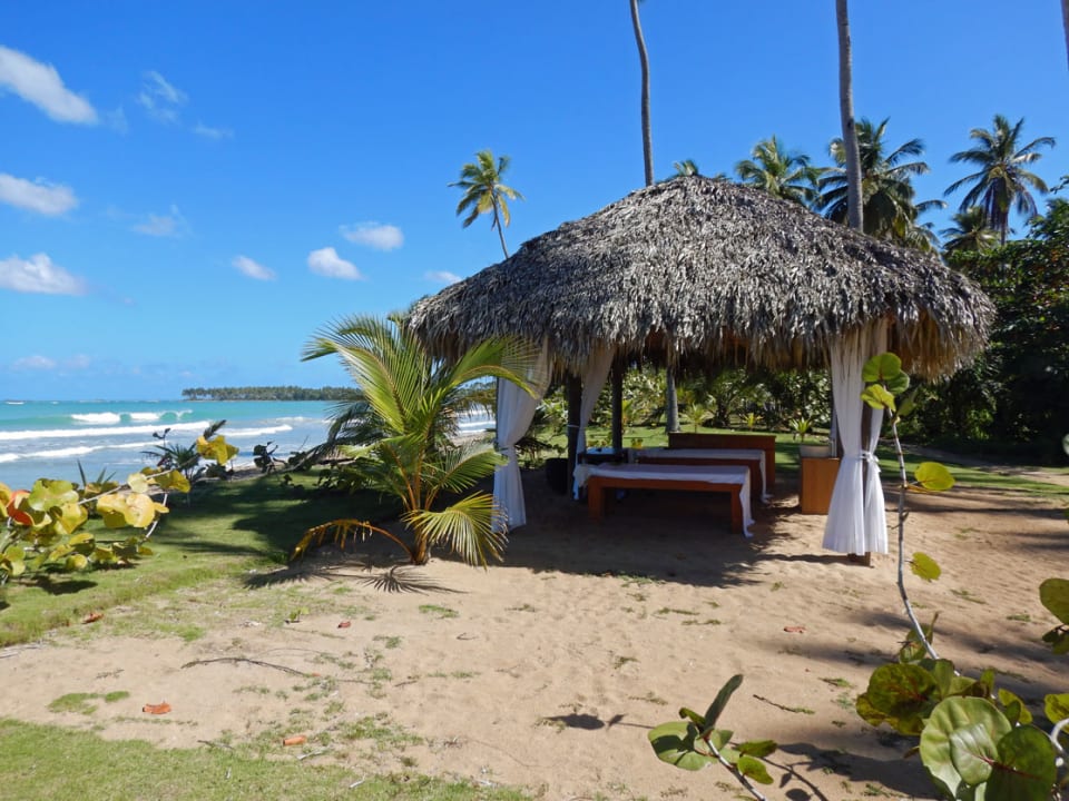 Sport & Freizeit Viva V Samana by Wyndham – Adults Only
