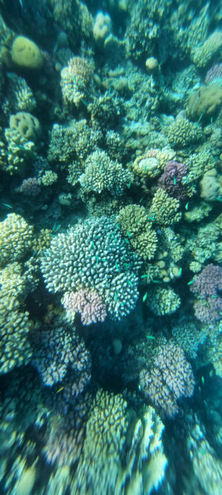 Sport & Freizeit Jaz Makadi Oasis Resort