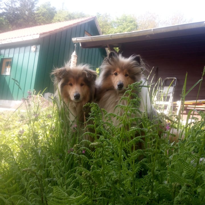 Sonstiges Ferienparadies am Rennweg