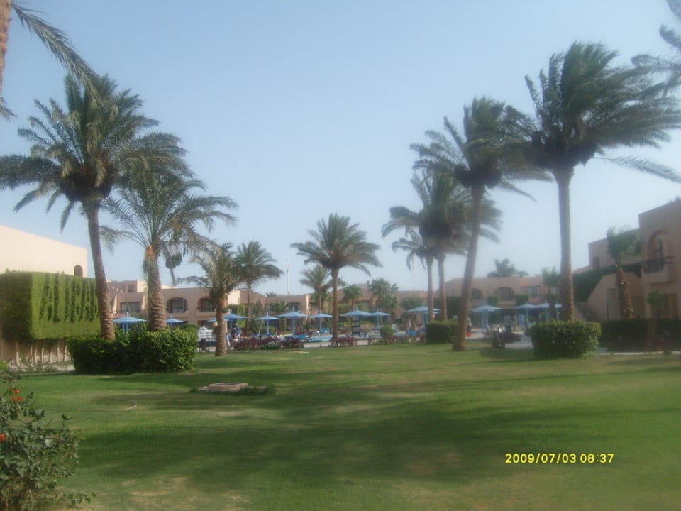 Sehr gepflegte Anlage Ali Baba Palace Hotel