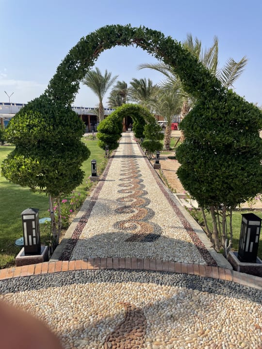 Gartenanlage Coral Sun Beach