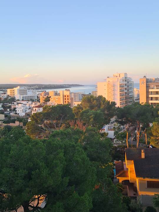 Ausblick Grupotel Taurus Park