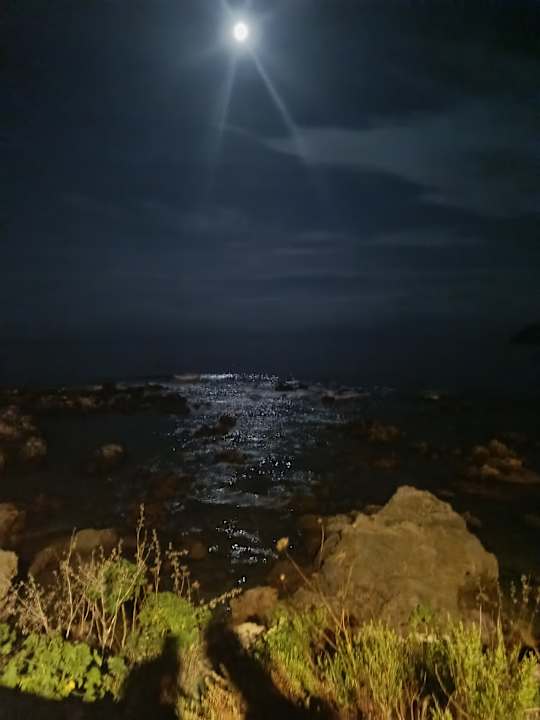 Sonstiges allsun Hotel Lux de Mar