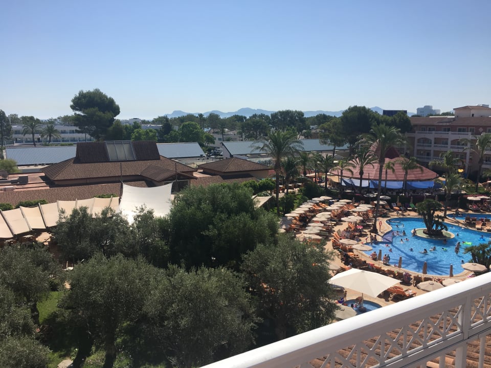 Pool VIVA Blue & Spa