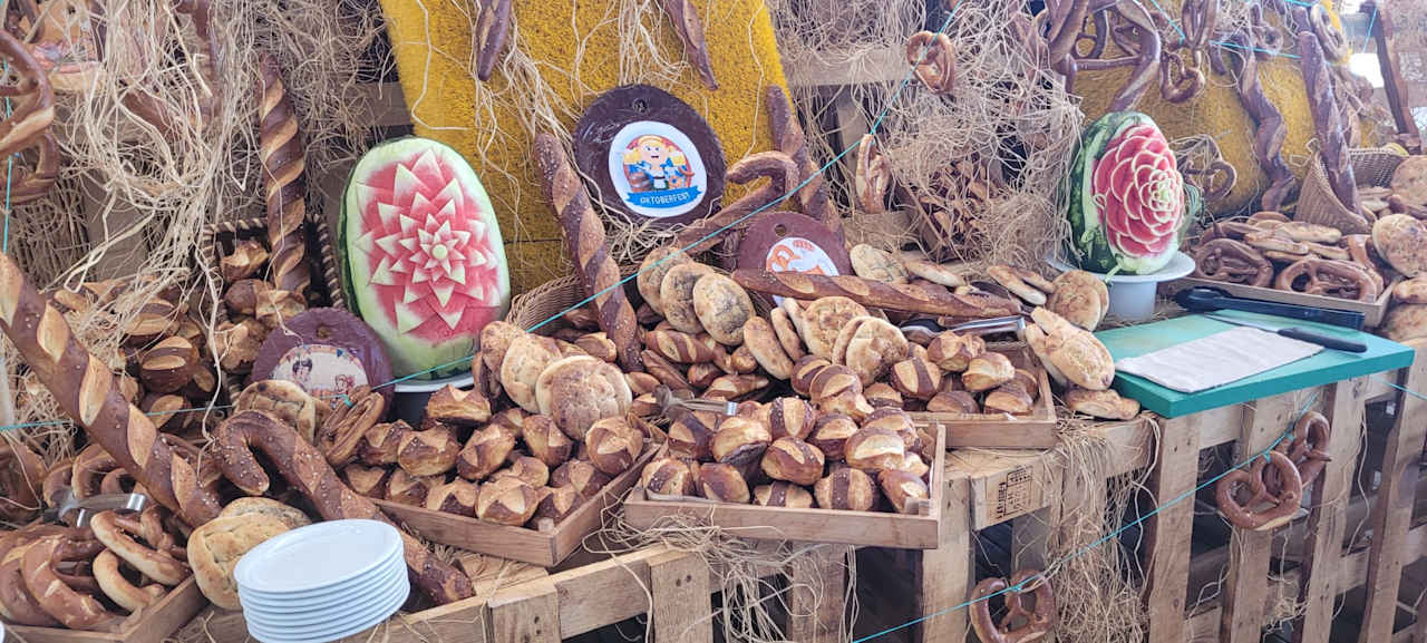 Strand Seashell Vega