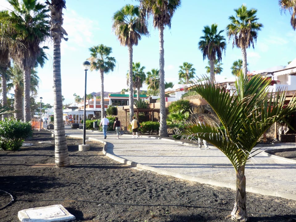 Strandpromenade Hipotels Natura Palace