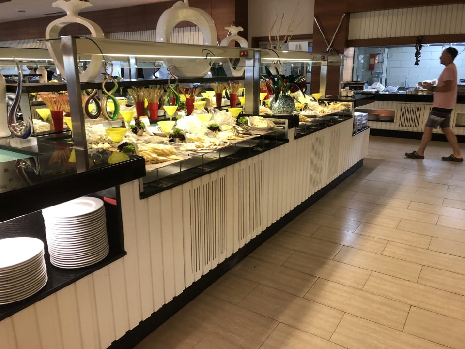 Gastro Paloma Oceana