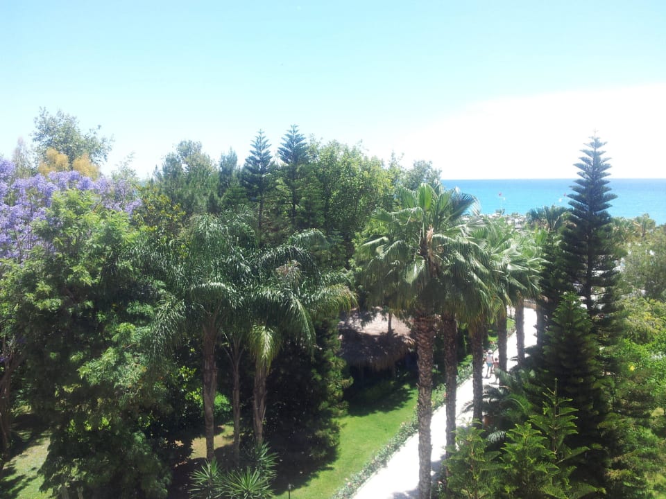 Ausblick Haus Rose Botanik Hotel & Resort