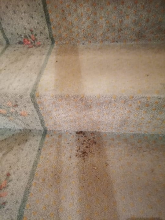 Sonstiges Landhotel Harz