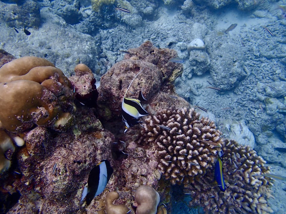 Strand Kuramathi Maldives