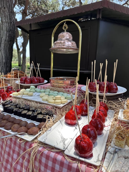 Gastro Xanadu Resort Hotel