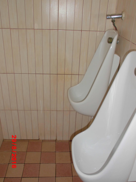 WC alles voller Urin  Hotel Paradis Palace