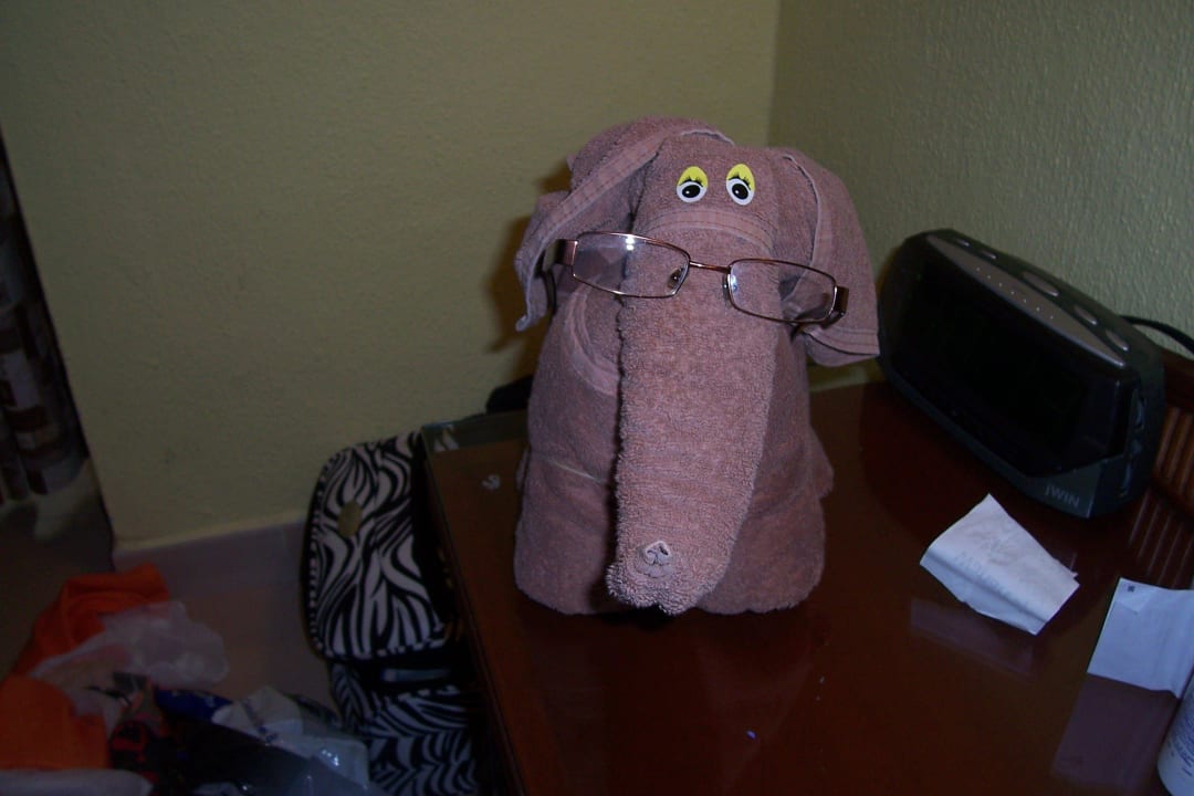 Handtuchtier Hotel Riu Tequila