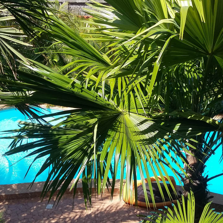 Pool Ferienhaus Casa Lexi