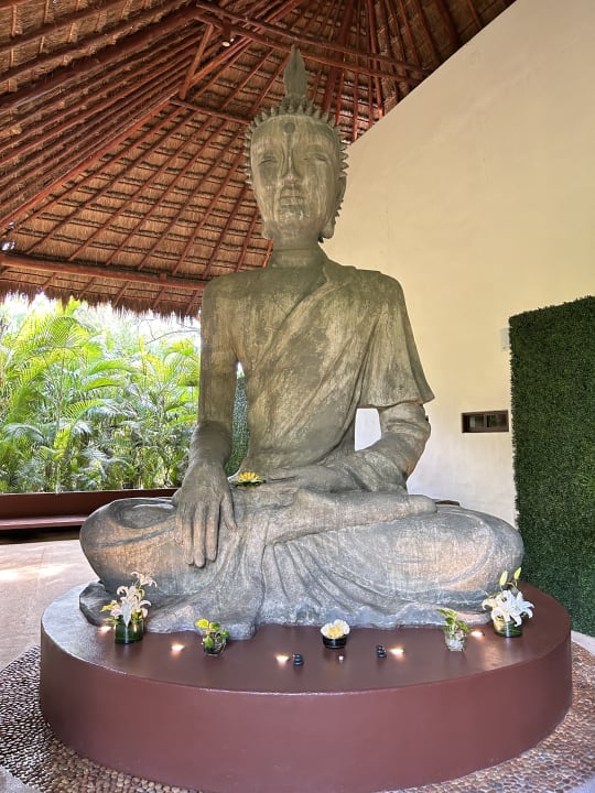 Gartenanlage Akumal Bay Beach & Wellness Resort