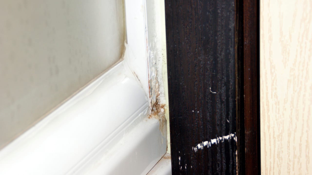 Bad Rost an der Badewanne Hotel Orfeus Park