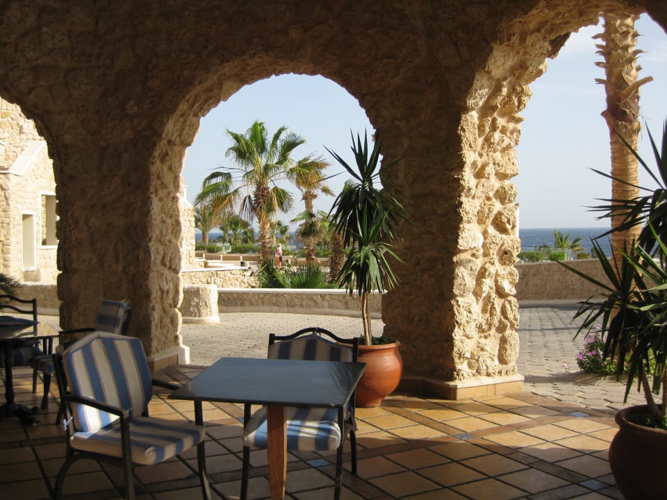 Schattiger Platz  Pickalbatros Citadel Resort