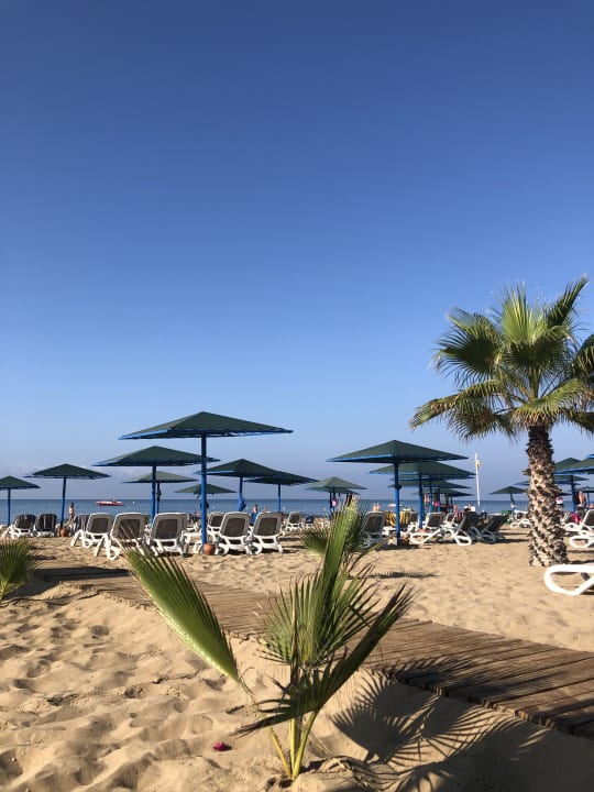 Strand Paloma Oceana