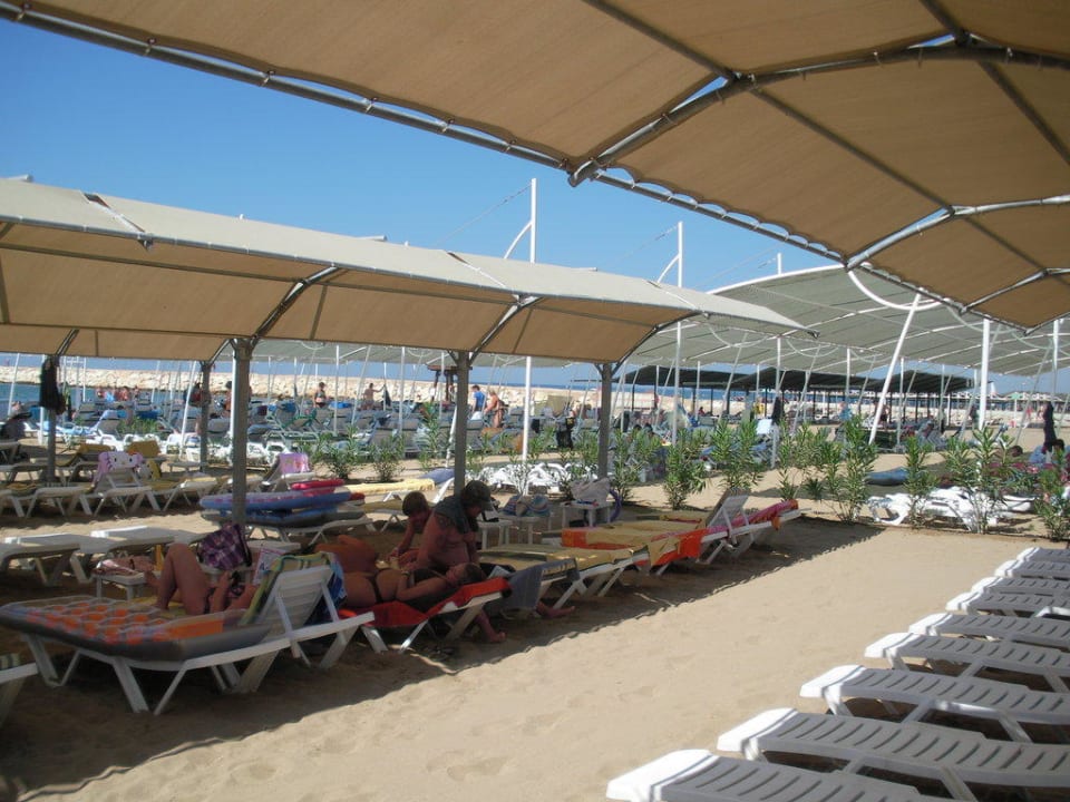 Strandliegen vom Aydinbey Aydinbey Kings Palace & Spa
