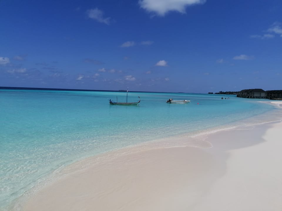 Strand Summer Island Maldives