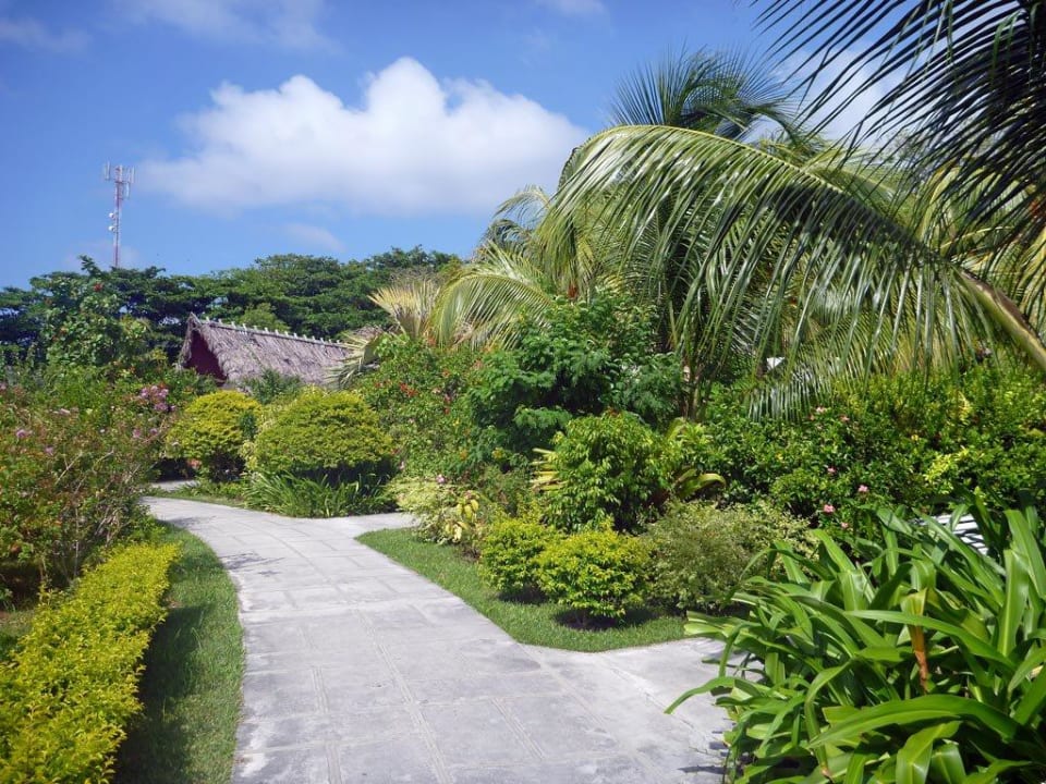 Gartenweg mit Garden Chalet im Hintergrund La Digue Island Lodge