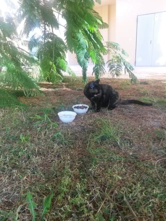 Sonstiges SBH Costa Calma Beach Resort