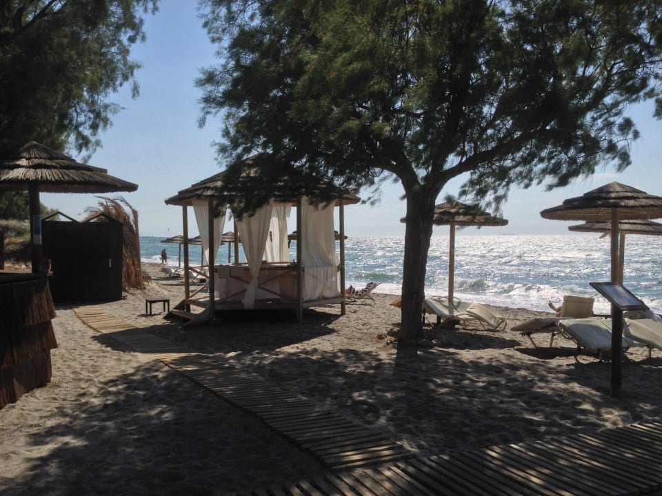 Karibik-Flair TUI BLUE Palazzo del Mare