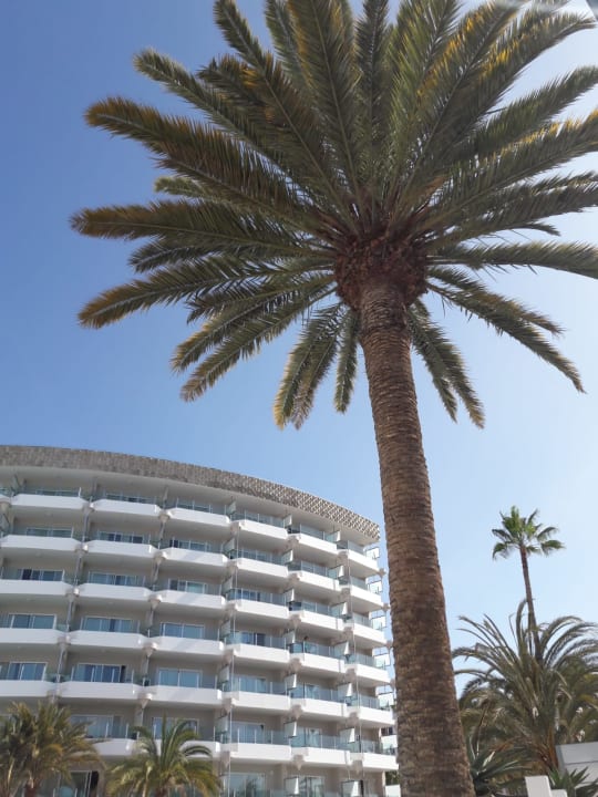 Außenansicht Bull Escorial & Spa