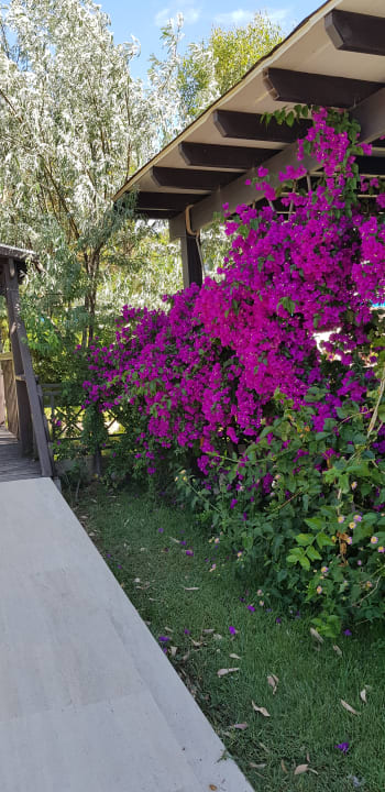 Gartenanlage Club Yali Hotels & Resort