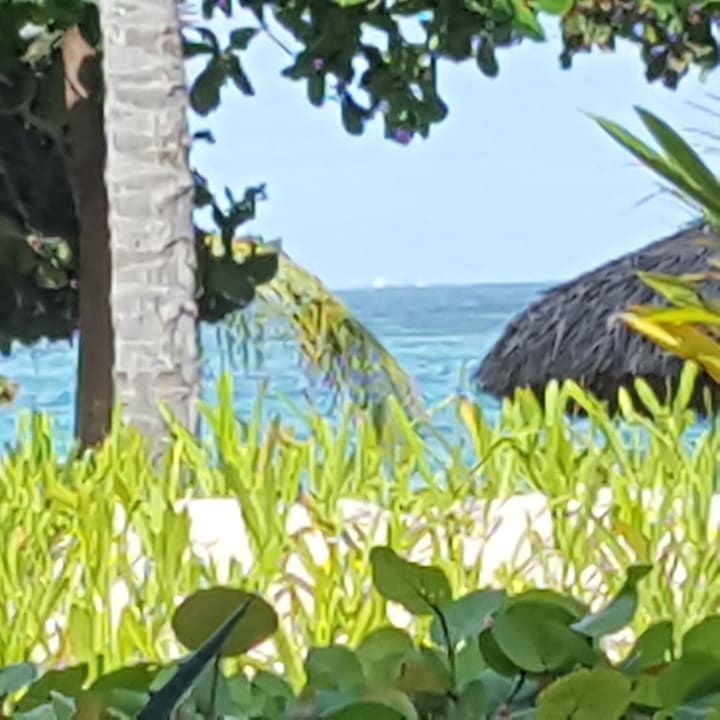 Ausblick TRS Turquesa Hotel - Adults only