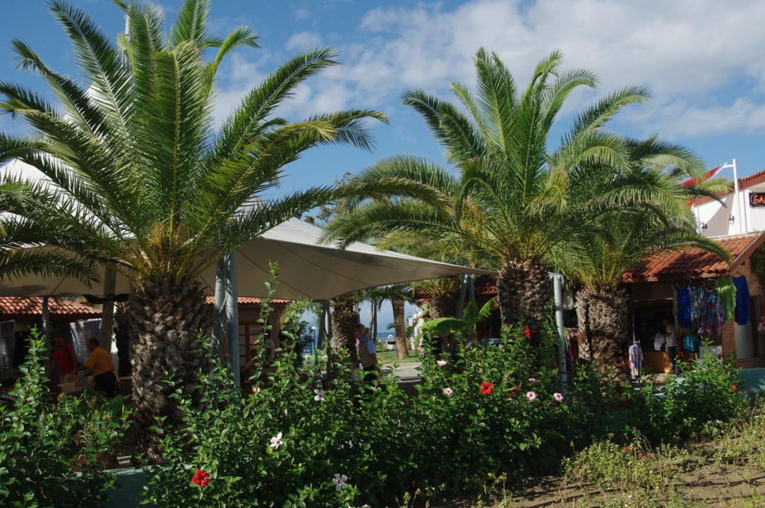 Empfangsbereich Ephesia Holiday Beach Club