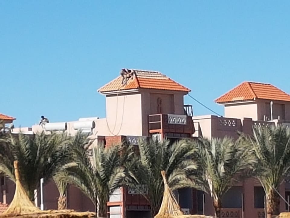 Ausblick Pickalbatros Aqua Park Resort - Hurghada