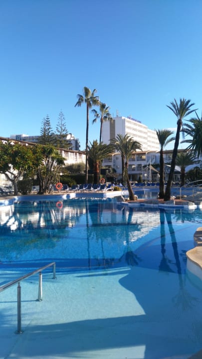 Pool Alcudia Garden Aparthotel