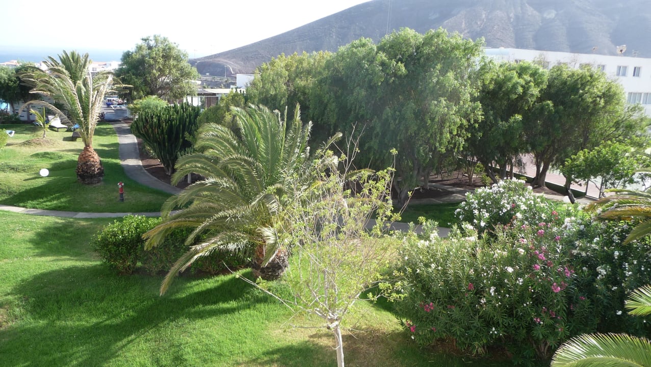 Garten vom Balkon aus allsun App.-Hotel Esquinzo Beach