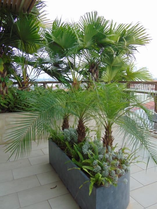 Gartenanlage La Passion Hanoi Hotel & Spa