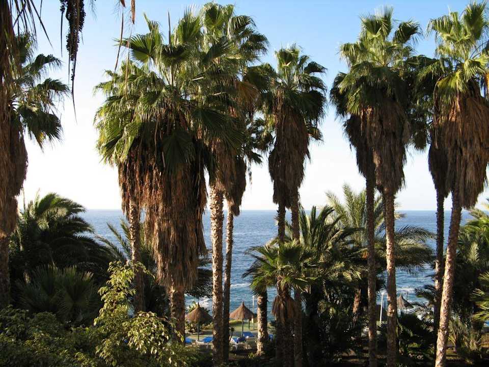 Ausblick Zimmer 2. Stock Melia La Palma Hotel