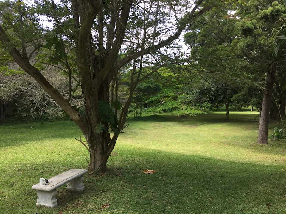Gartenanlage The Sandpiper  Gästehaus