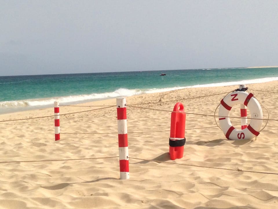 Strand Oasis Salinas Sea