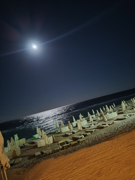 Strand Serenity Alpha Beach