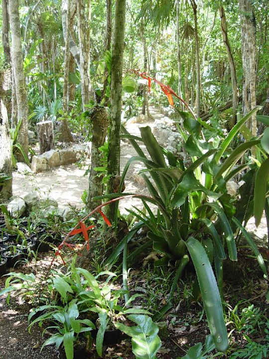 Hotelanlage Bel Air Collection Resort & Spa Riviera Maya