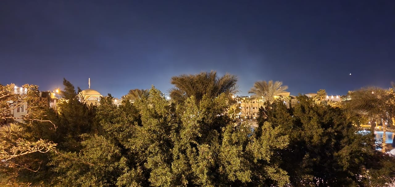 Gartenanlage Desert Rose