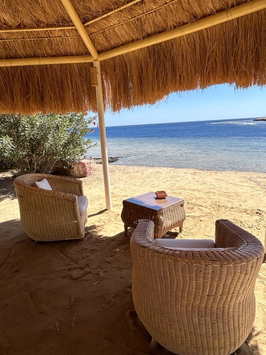 Gastro Steigenberger Coraya Beach - Adults only