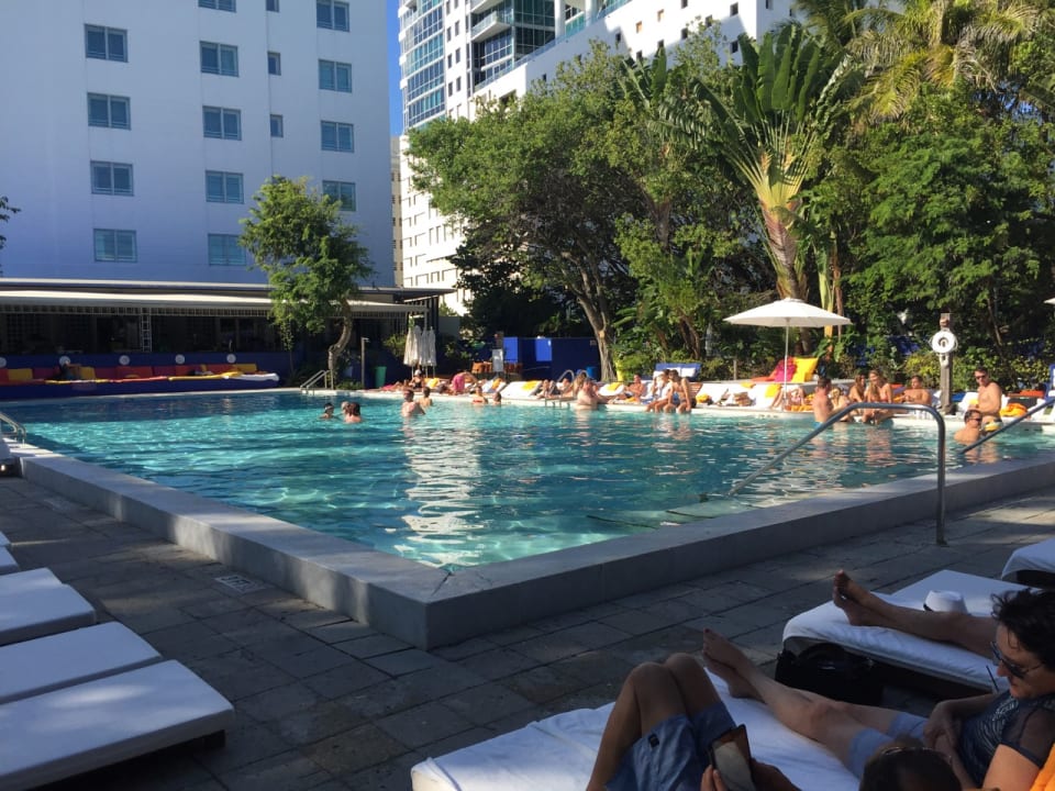 Pool Hotel The Shore Club