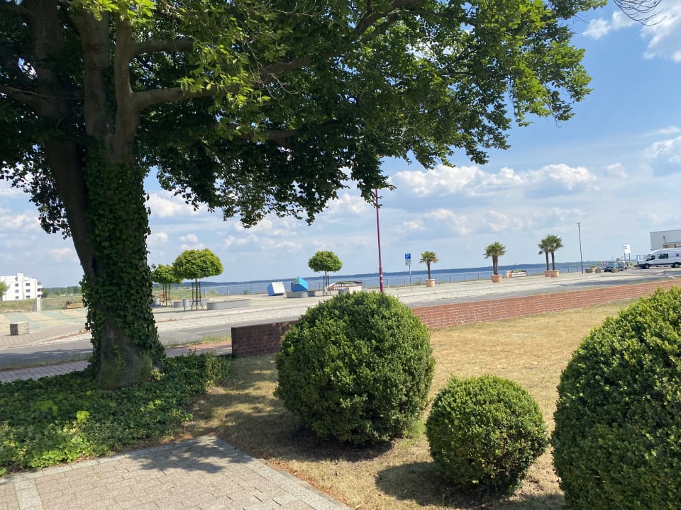Ausblick SeeHotel Großräschen